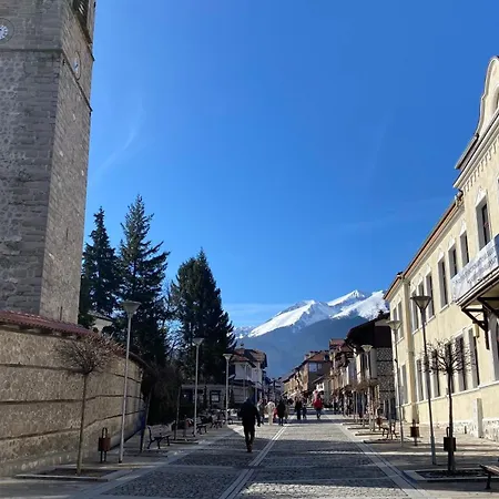 Daire Wooden In Belvedere Bansko